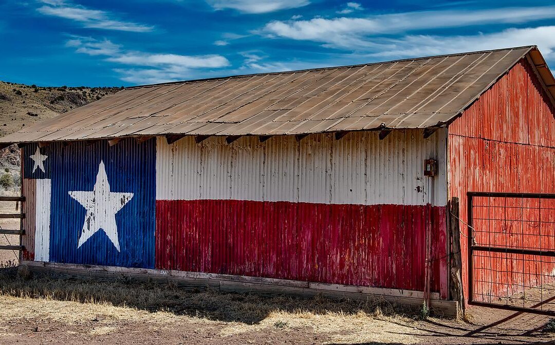 Small Business Loans in Texas: A Brief Guide