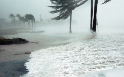 Subtropical Storm Nicole & Hurricane Preparedness