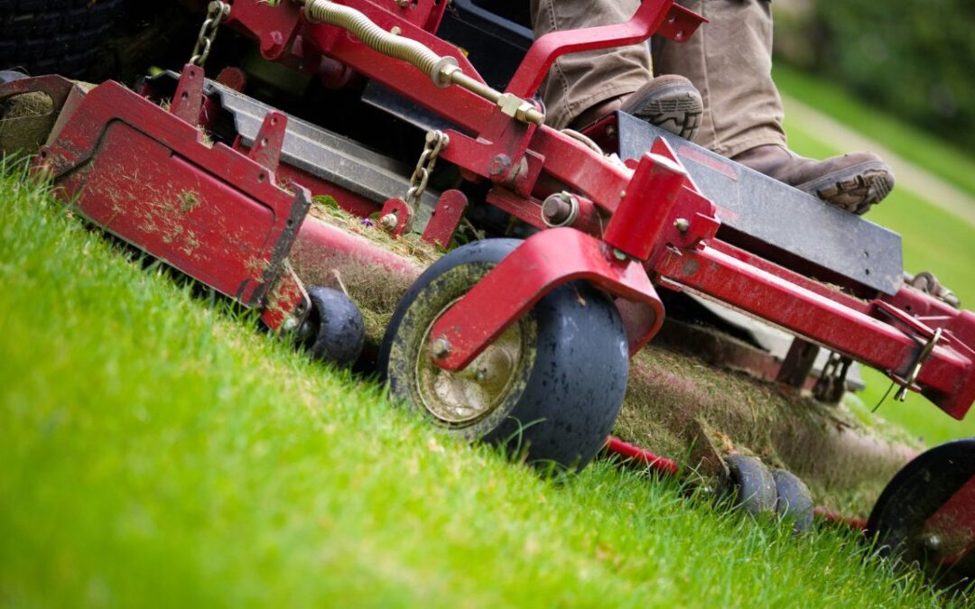 Five Tips to Help Your Landscaping Business Stand Out