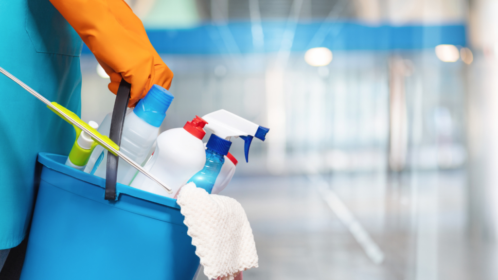 Cleaning and Organization Services: A Lucrative Business Idea