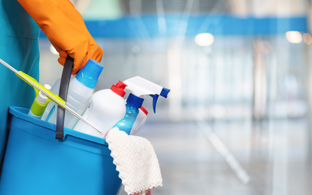 Cleaning and Organization Services: A Lucrative Business Idea