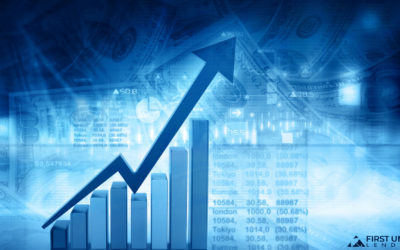 Profit and Loss Statement: The Key to Financial Insight