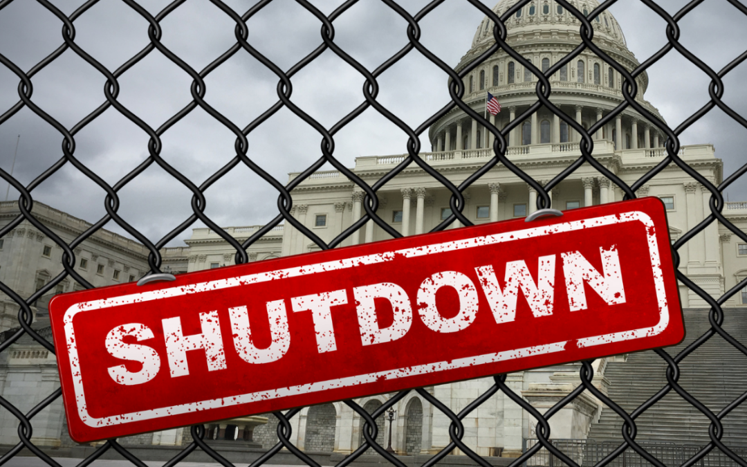 The Impact of Government Shutdown on Small Businesses